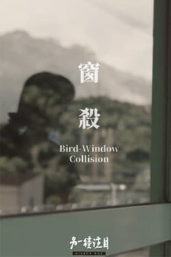 Bird-Window Collisions (2023)