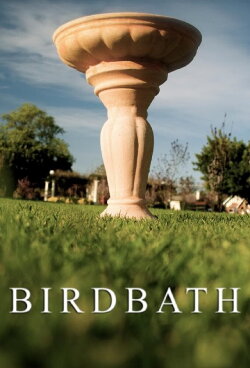 Birdbath (2013) Birdbath (2013)