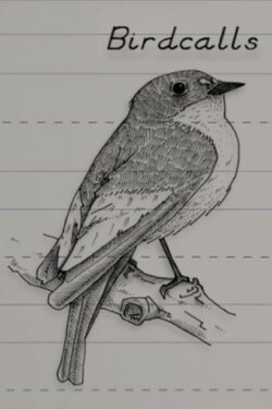 Birdcalls (2005)