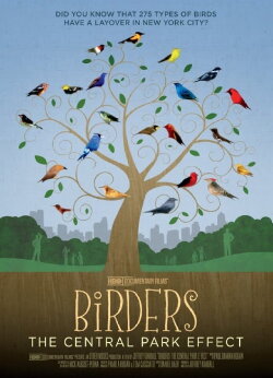 Birders: The Central Park Effect (2012) Birders: The Central Park Effect (2012)