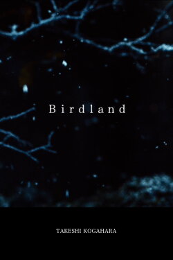 Birdland (2019) Birdland (2019)