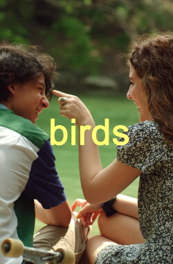Birds (2021)