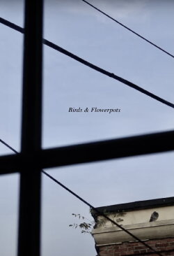 Birds & Flowerpots (2023) Birds & Flowerpots (2023)