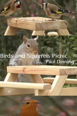 Birds and Squirrels Picnic (2023) Birds and Squirrels Picnic (2023)