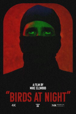 Birds at Night (2024) Birds at Night (2024)