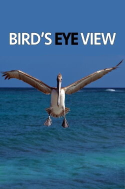 Bird's Eye View (2020)