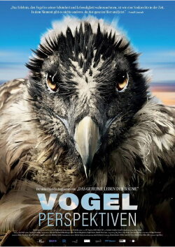 Bird's Eyeview (2022)