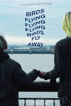 Birds Flying Flying Flying Birds Fly Away (2024) Birds Flying Flying Flying Birds Fly Away (2024)
