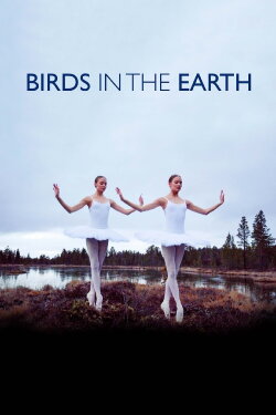 Birds in the Earth (2018) Birds in the Earth (2018)