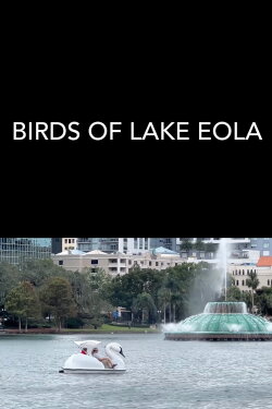 Birds of Lake Eola (2023) Birds of Lake Eola (2023)