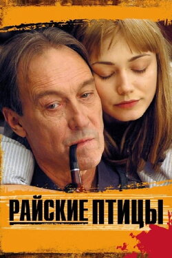 Birds of Paradise (2008) Birds of Paradise (2008)