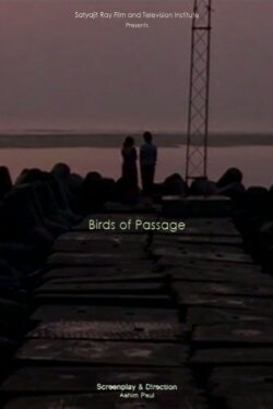 Birds Of Passage (2012) Birds Of Passage (2012)