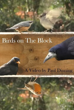 Birds on The Block (2023)