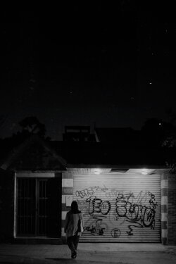 Birds sing at night (2024) Birds sing at night (2024)