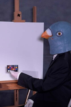 Birdsaver Report Volume 2 (2021)