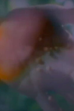 Birth (1997)