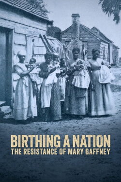 Birthing a Nation: The Resistance of Mary Gaffney (2023) Birthing a Nation: The Resistance of Mary Gaffney (2023)