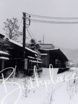 Birthplace (2003)