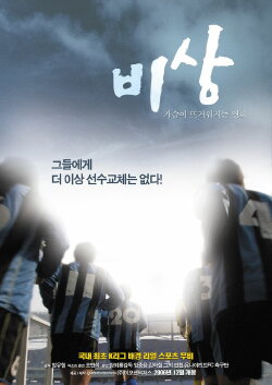 Bisang (2006)