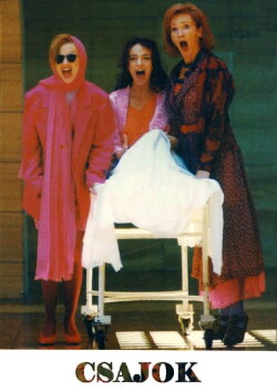 Bitches (1995) Bitches (1995)