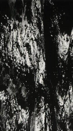Bitemporal Vision: The Sea (1994) Bitemporal Vision: The Sea (1994)