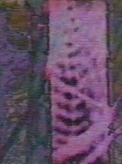 Bits (1977)