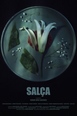 Bitter (2023) Bitter (2023)