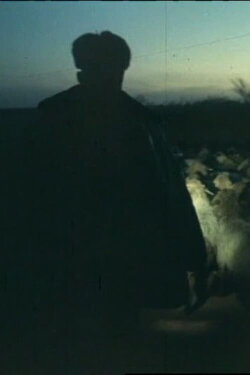 Black Ashes (1997) Black Ashes (1997)