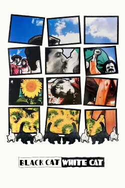 Black Cat, White Cat (1998) Black Cat, White Cat (1998)