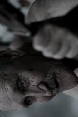 Black District Blues (2017)