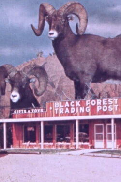 Black Forest Trading Post (1976)