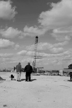 Black Gold (2022) Black Gold (2022)