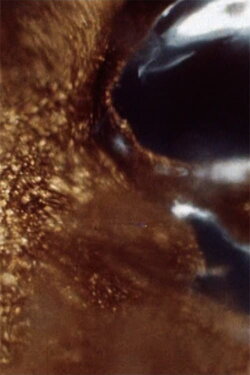 Black Ice (1967)
