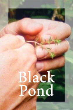 Black Pond (2018) Black Pond (2018)