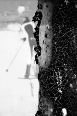Black Snow (2016)