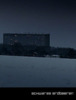 Black Strawberries (2005)