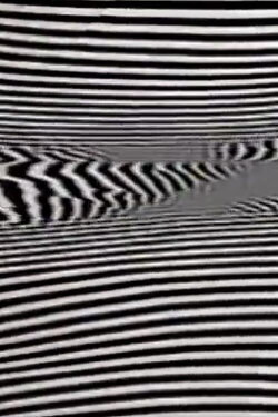 Black/White/Text (1980)