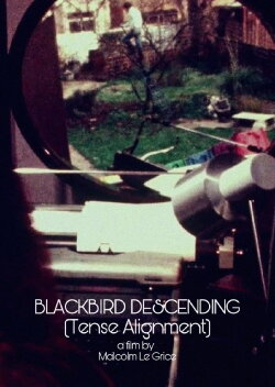 Blackbird Descending - Tense Alignment (1977) Blackbird Descending - Tense Alignment (1977)