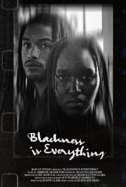 Blackness Is Everything (2021) Blackness Is Everything (2021)