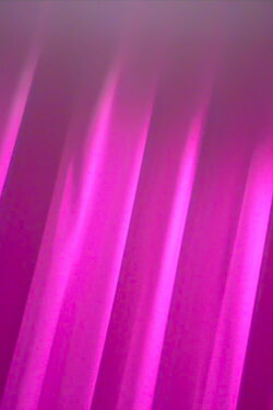 Blanco y fucsia (2021) Blanco y fucsia (2021)