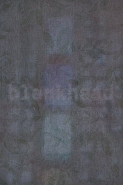 blankhead (2022)