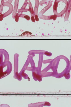 Blatzom (1986) Blatzom (1986)