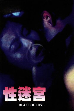 Blaze of Love (1994) Blaze of Love (1994)