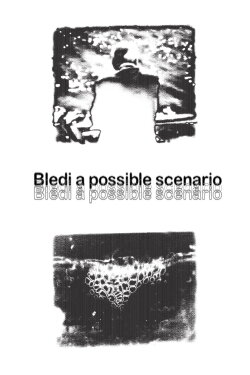 Bledi a possible scenario (2004)