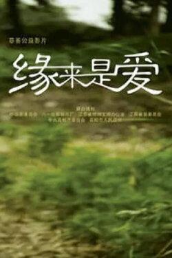 Blessed Destiny (2009)