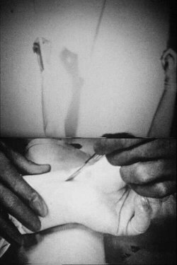 Blicklust (1992)