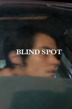 Blind Spot (2009) Blind Spot (2009)