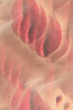 blood keys (2012)