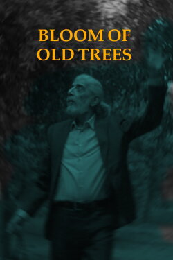 Bloom of Old Trees (2024) Bloom of Old Trees (2024)