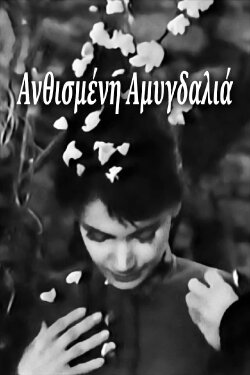 Blossoming Almond Tree (1959) Blossoming Almond Tree (1959)